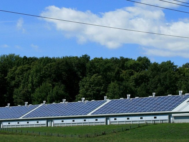 Una granja es abastecida por un sistema de paneles solares.