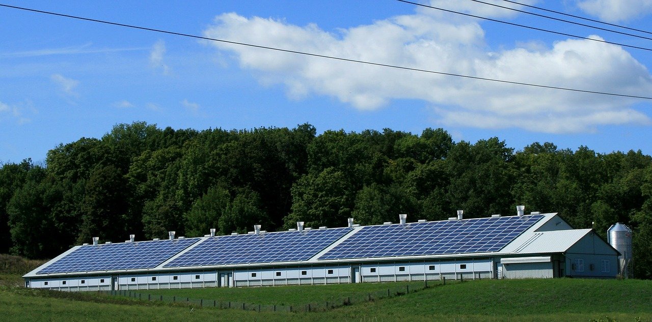 Una granja es abastecida por un sistema de paneles solares.