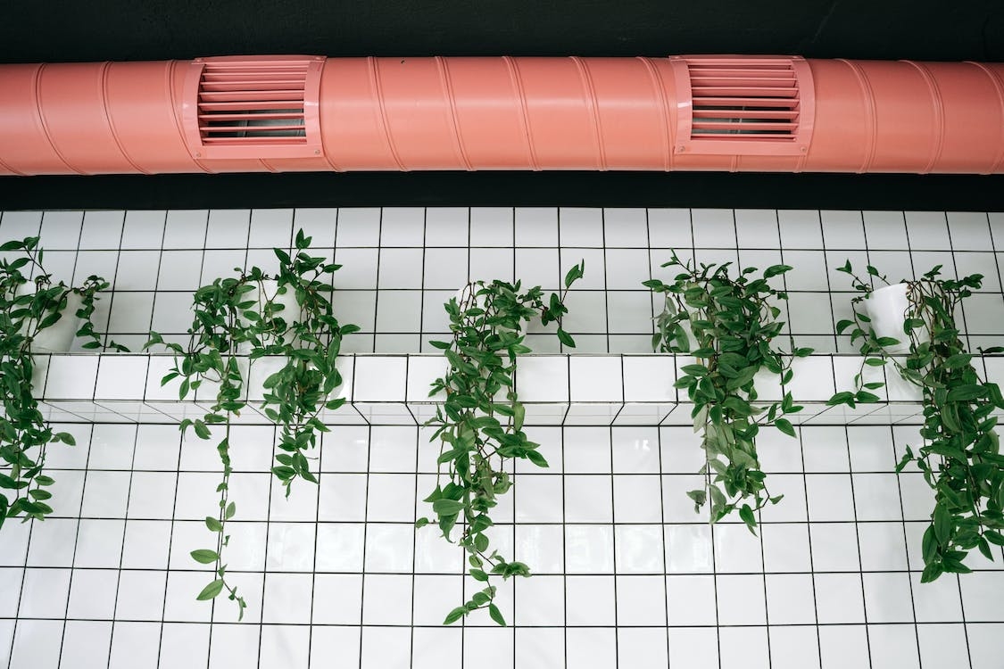 Pared con azulejos, plantas y un tubo de climatización industrial